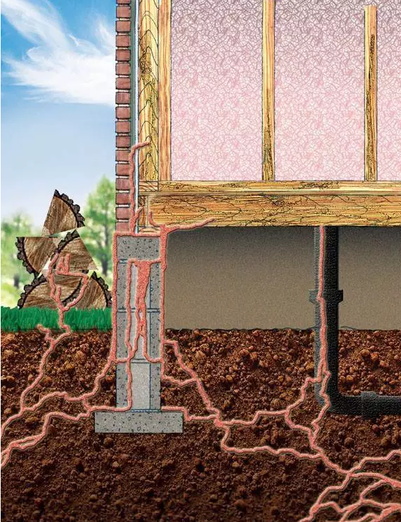  白蟻季節(jié)來臨，預防小貼士,郁康